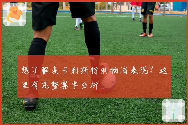 想了解麦卡利斯特利物浦表现？这里有完整赛季分析