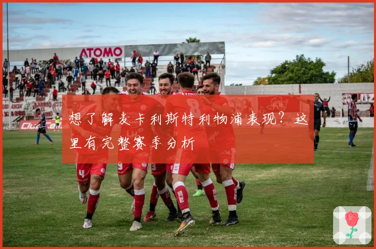 想了解麦卡利斯特利物浦表现？这里有完整赛季分析